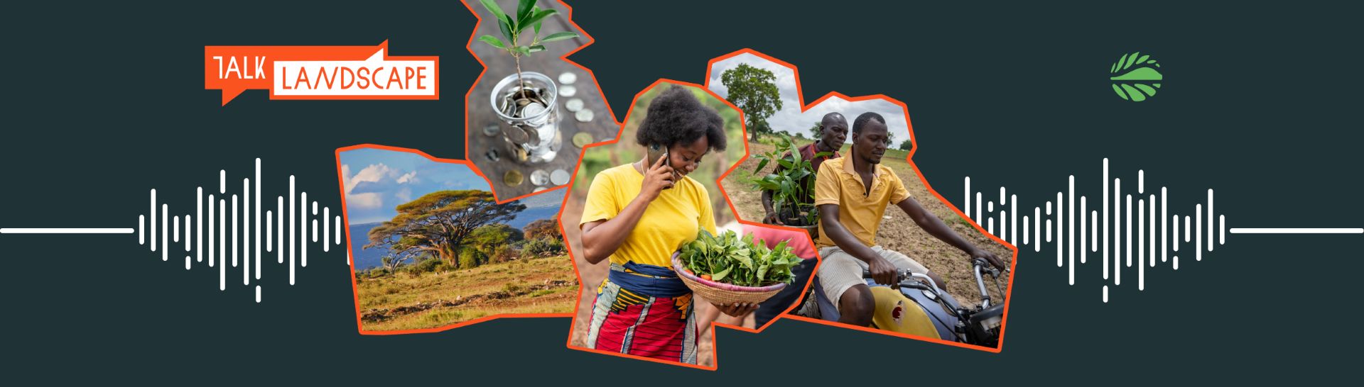 How Africa can build a green economy
